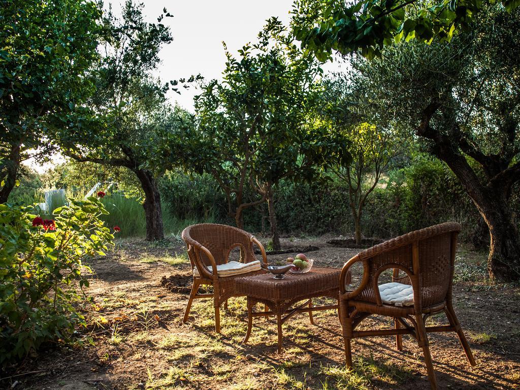 Areti Orfeas Studios Vasilikos Exterior photo