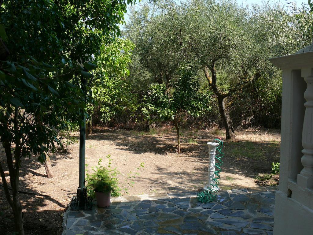 Areti Orfeas Studios Vasilikos Exterior photo